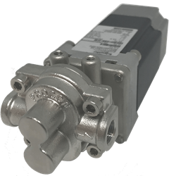 Pump/Motor Assemblies